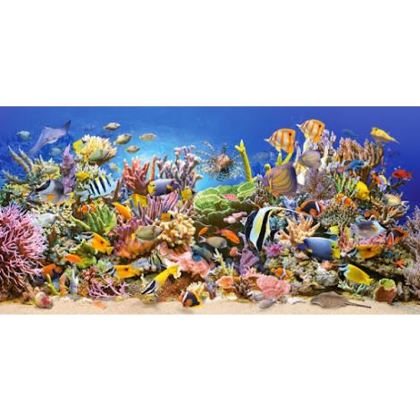 Puzzle Castorland 4000el Underwater life - 2